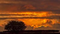 Weinberg Sonnenuntergang