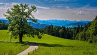 Blick nach &Ouml;sterreich