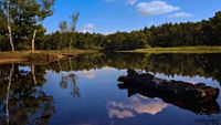 Idyllischer Moorsee voll Ruhe