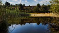 Mechelse Heide (Maasmechelen B.)